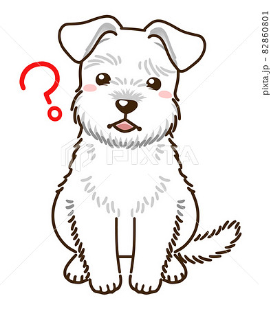 犬 シュナウザー イラスト かわいいのイラスト素材