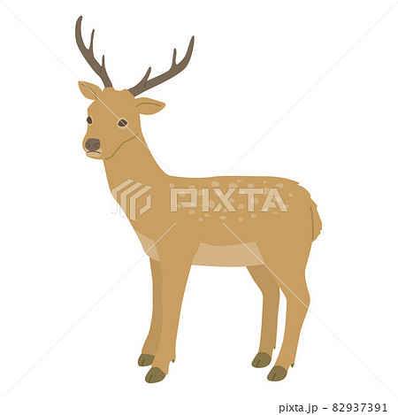 鹿 動物 哺乳類 エゾシカのイラスト素材