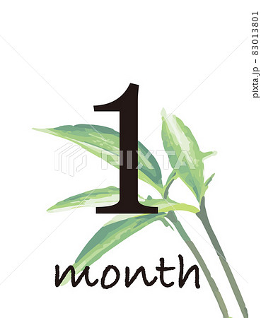 月齢カードのイラスト素材