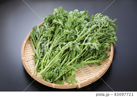 葉物野菜の写真素材