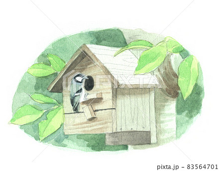 鳥 巣箱 水彩画 小鳥のイラスト素材 - PIXTA