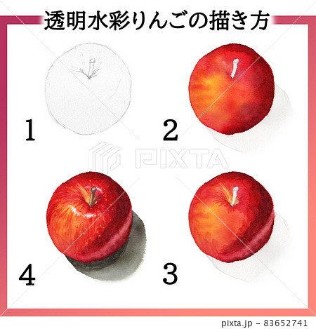 りんご フルーツ 果物 水彩画の写真素材
