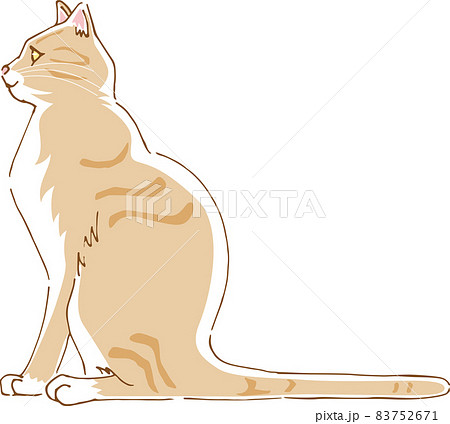 動物 猫 イラスト 横顔の写真素材