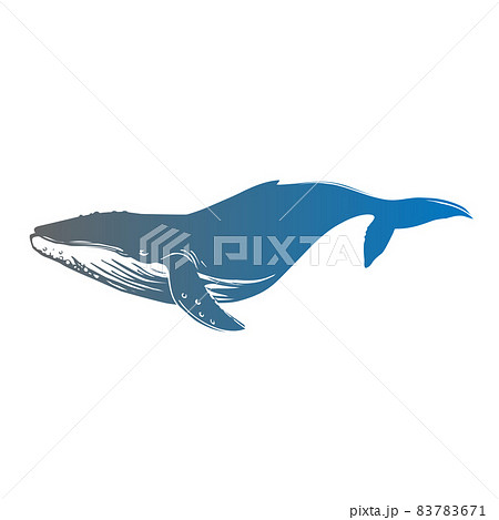 クジラ 鯨 のpng素材集 ピクスタ