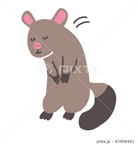 動物 ポッサム かわいい オーストラリアの写真素材