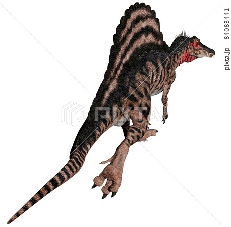スピノサウルスのイラスト素材