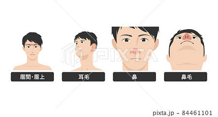 耳のイラスト素材集 ピクスタ