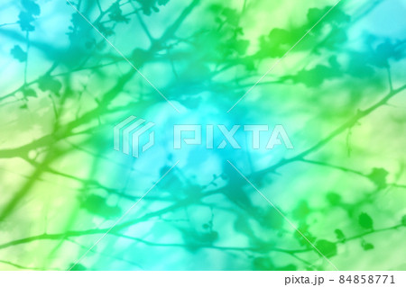 梅の花シルエット
