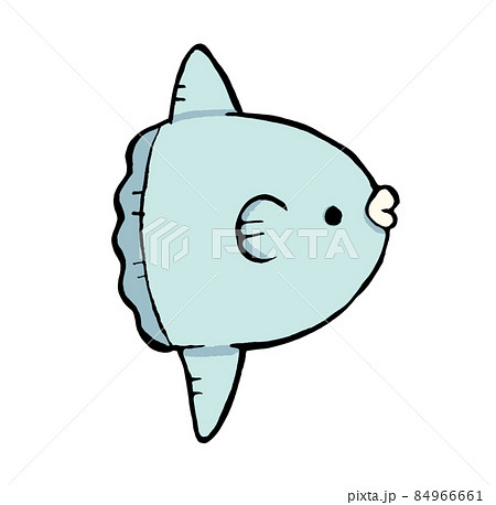 マンボウ イラスト かわいいの写真素材 マンボウ イラスト かわいいの写真素材