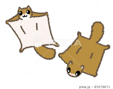 モモンガ かわいい イラスト 動物の写真素材