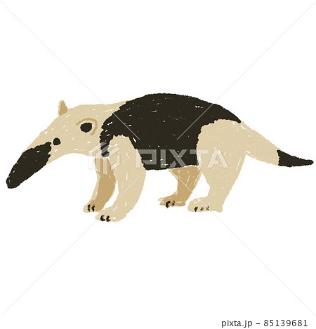 アリクイのイラスト素材