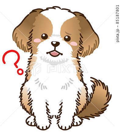 シーズー イラスト かわいいの写真素材