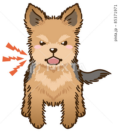 ヨークシャーテリアのイラスト素材
