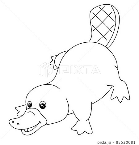 鴨嘴 カモノハシ かわいいのイラスト素材