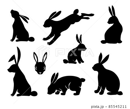 うさぎ 影のイラスト素材 うさぎ 影のイラスト素材