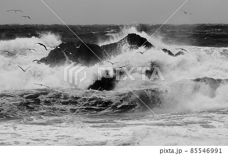 荒波 モノクロ 白黒 波の写真素材