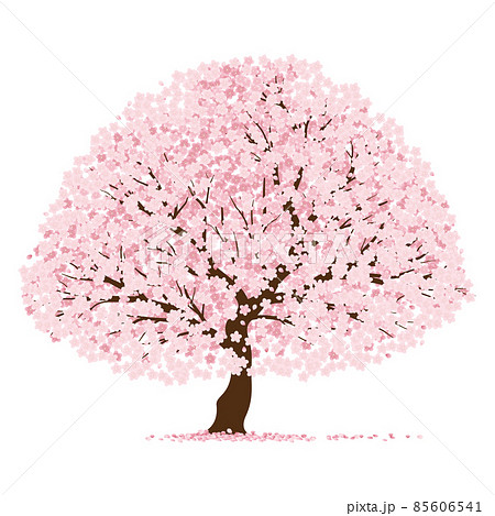 桜の木のイラスト素材集 ピクスタ