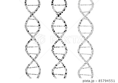 Dna 遺伝子 モノクロ デオキシリボ核酸のイラスト素材