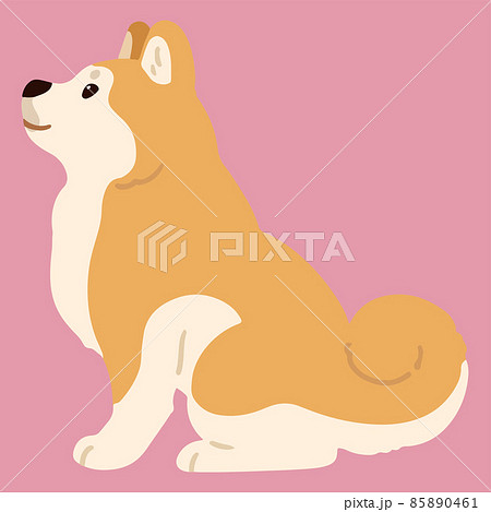 秋田犬のイラスト素材