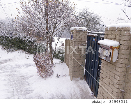 冬 雪景色 積雪 韓国の写真素材