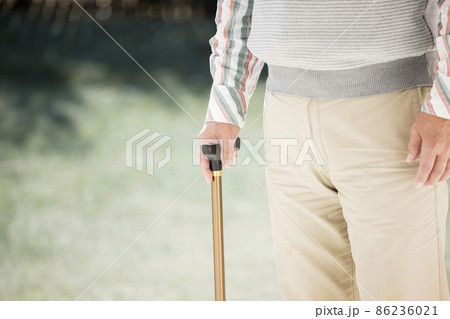 vector set of walking stick - Stock Illustration [55168461] - PIXTA