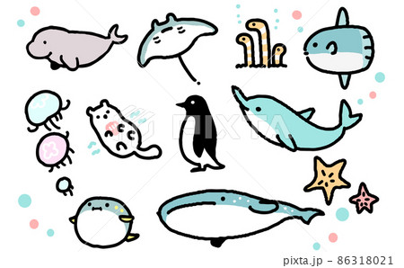 海の動物のイラスト素材集 ピクスタ