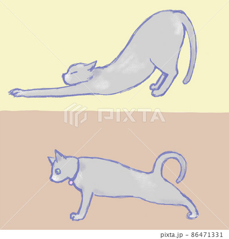 動物 猫 イラスト 横向きのイラスト素材