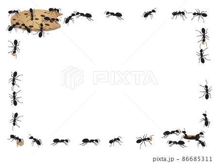 蟻の巣 アリの巣 巣穴 蟻のイラスト素材