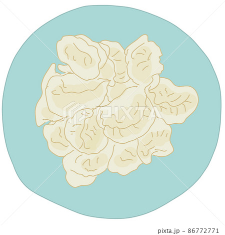 水餃子のイラスト素材