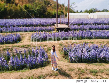 ブランコ 振る ぶら下がる 花の写真素材