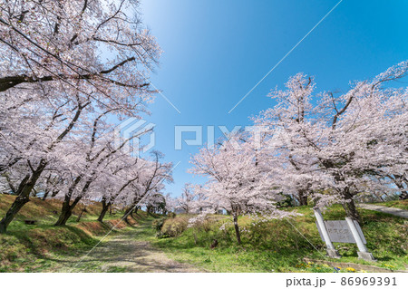 岡城跡の写真素材