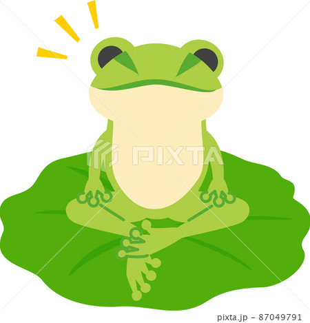 カエル 正面のイラスト素材