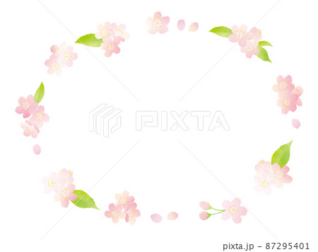 葉桜のイラスト素材