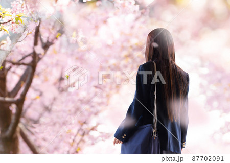 女性 人物 桜 後ろ姿の写真素材