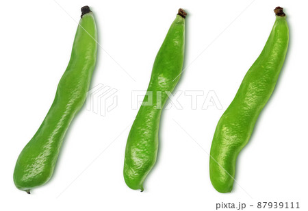 そら豆のイラスト素材集 ピクスタ そら豆のイラスト素材集 ピクスタ