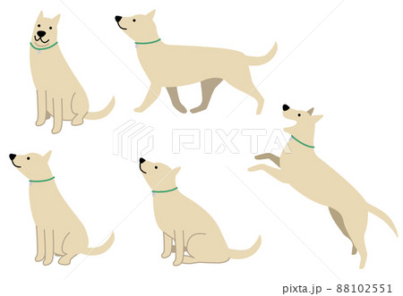 和犬のイラスト素材
