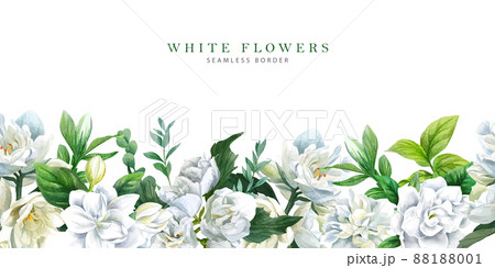 茉莉花のイラスト素材 茉莉花のイラスト素材