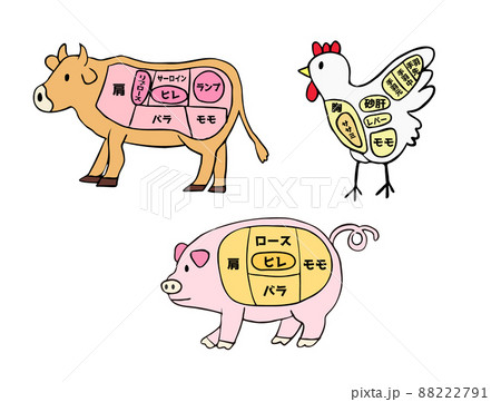 豚肉のイラスト素材集 ピクスタ