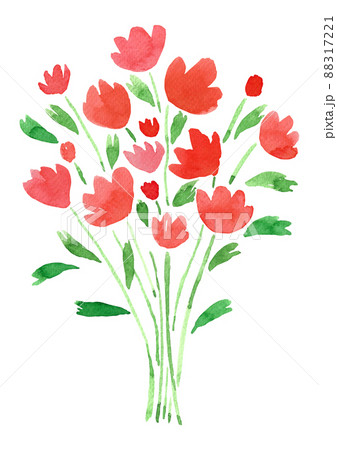 赤い花の写真素材