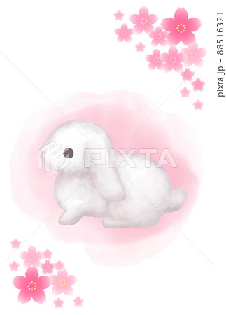 垂れ耳 うさぎのイラスト素材