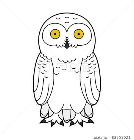 Cute Cartoon Vector Illustration Of A Snowy Owlのイラスト素材