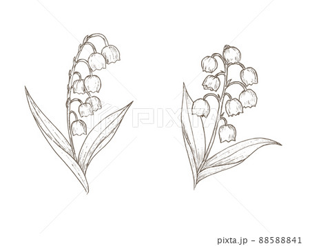 日本画　スズラン　花の絵 日本画 スズラン 花の絵 - メルカリ