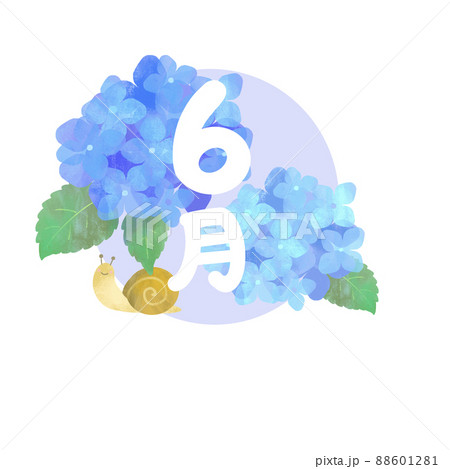 あじさい 花 紫陽花 かたつむりのイラスト素材