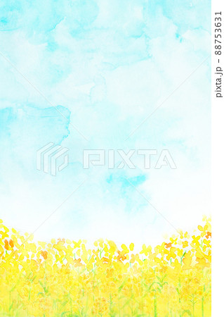 菜の花のイラスト素材集 ピクスタ