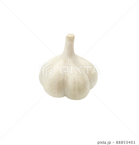にんにくのイラスト素材集 ピクスタ