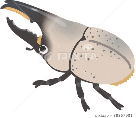 カブトムシのイラスト素材集 ピクスタ