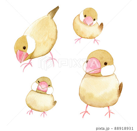 ことりのイラスト素材
