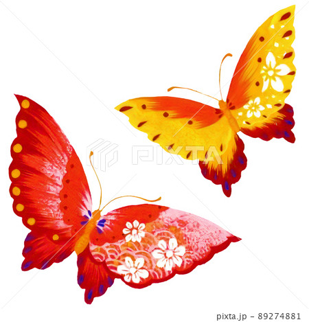 バタフライ 綺麗 カット イラスト 昆虫の写真素材