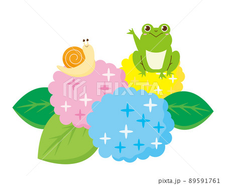 紫陽花 カエル カタツムリ 雨蛙の写真素材 - PIXTA