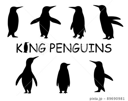 ペンギン 鳥 鳥類 リアルのイラスト素材